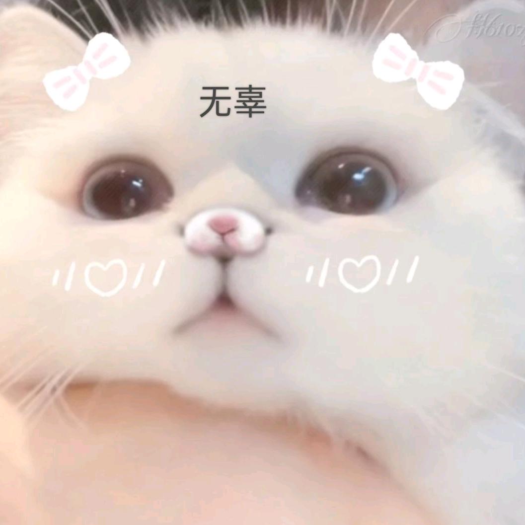 懊悔