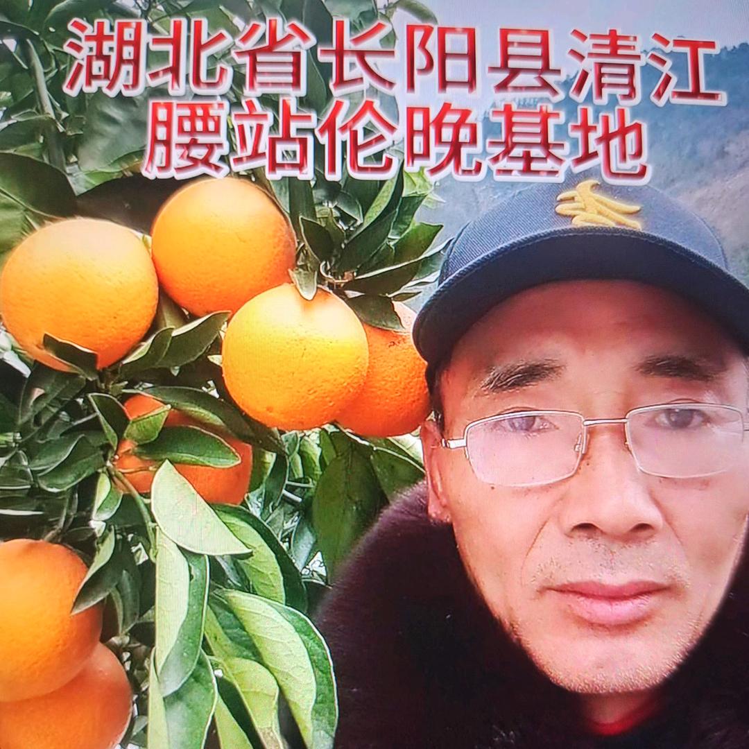 紫气东来哥