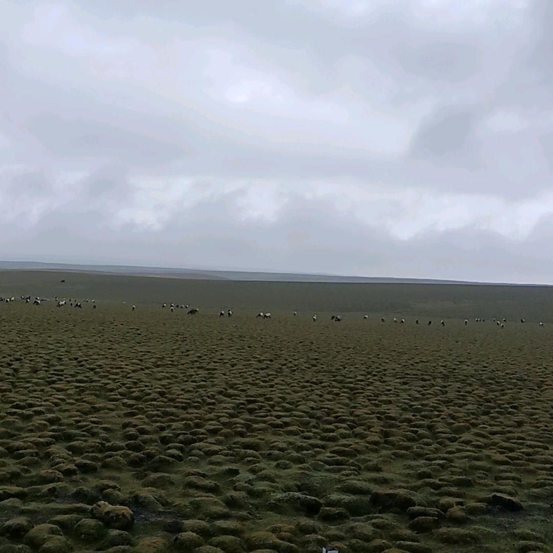 雾非雾丶╮の迷惘