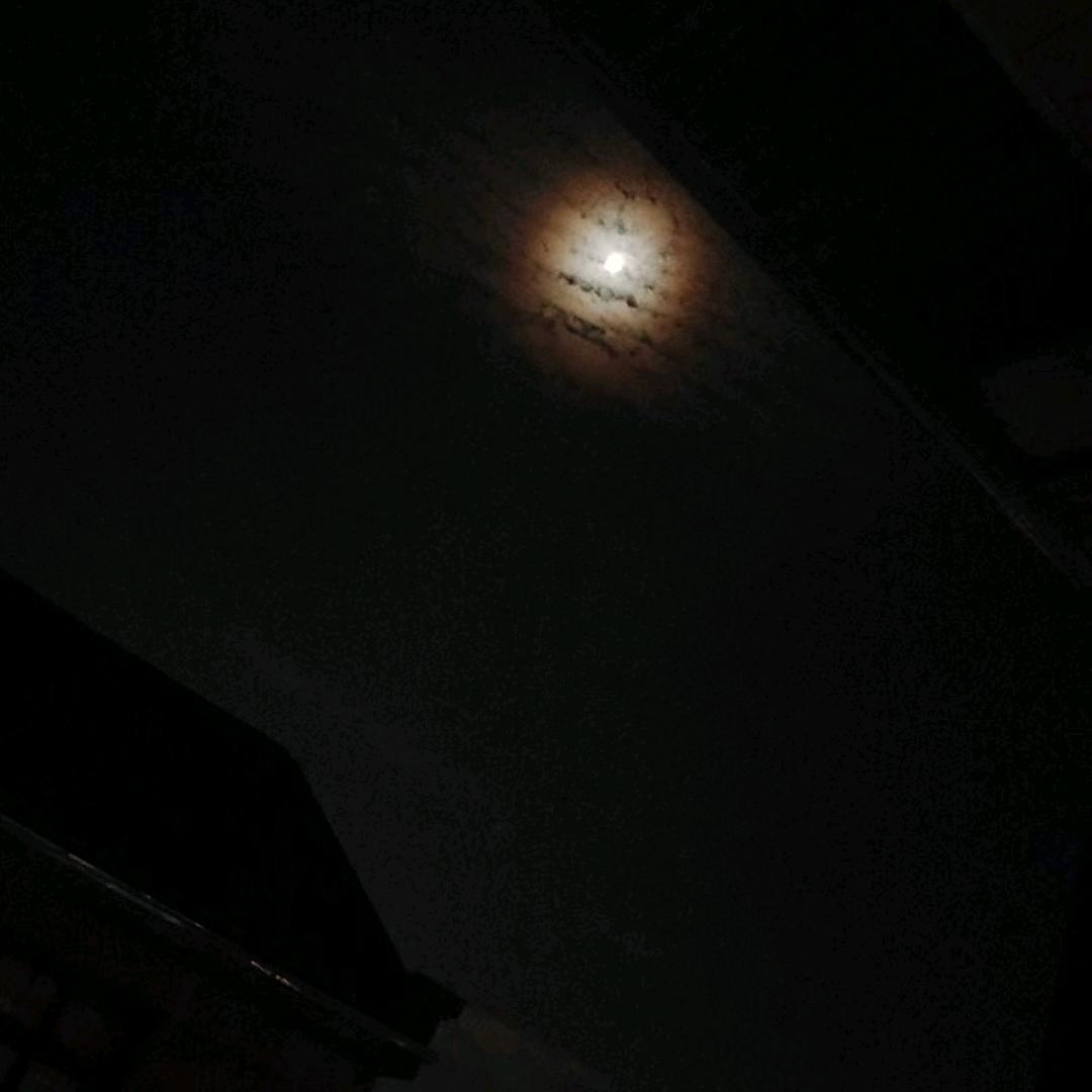 小混蛋