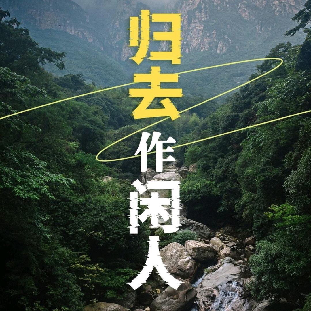 闲人老张