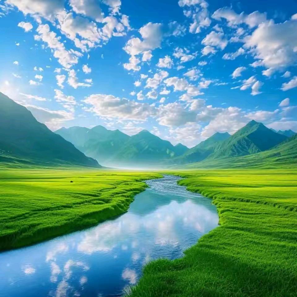 塑彩门窗