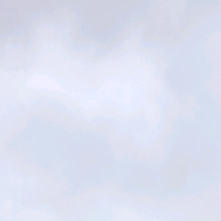 姚哥
