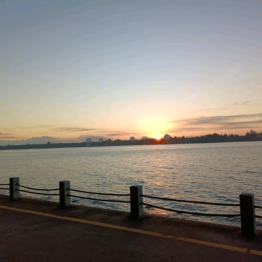 小露露