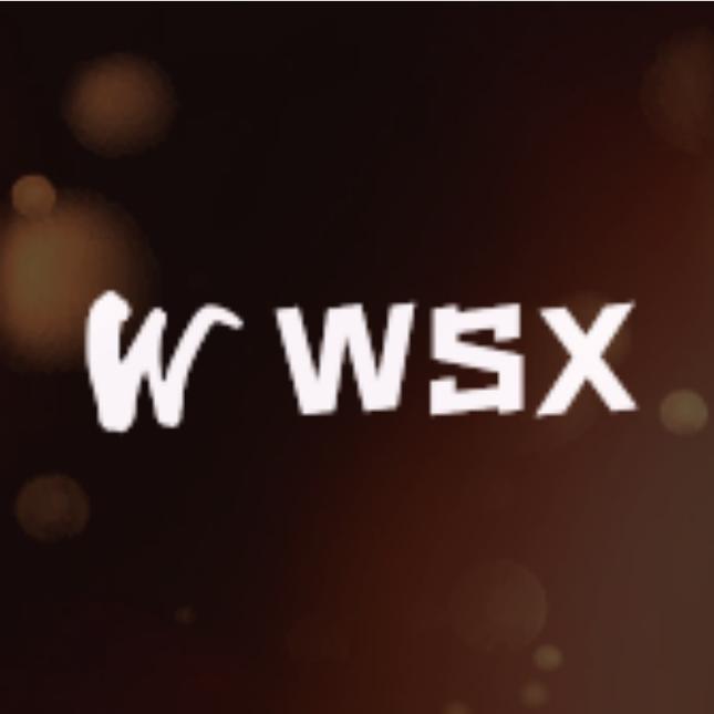 WSX优品潮牌店