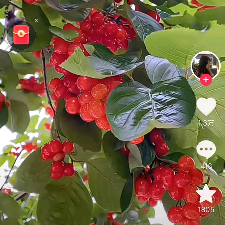 飞哥大英雄