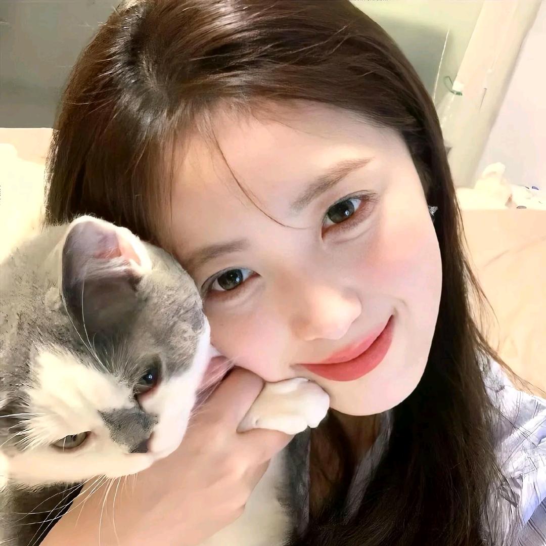 集美好物推荐店