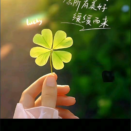 墨璃草莓🍓