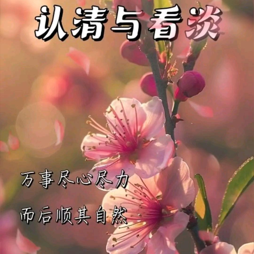 紫梦♥陌儿