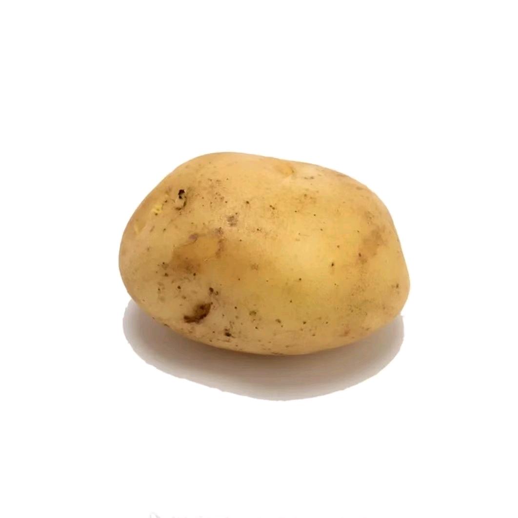 土 豆 你 个 马 铃 薯🥔