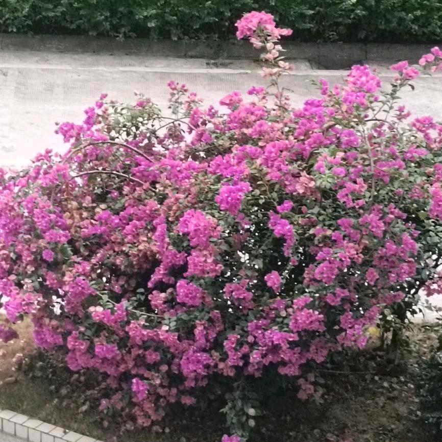 超妈