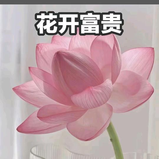 朋友圈⭕