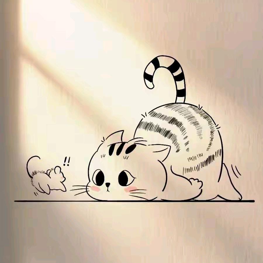 迷谷迷谷