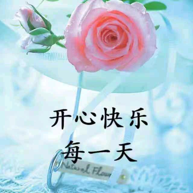 1982年7月20的狗已经44岁了！
