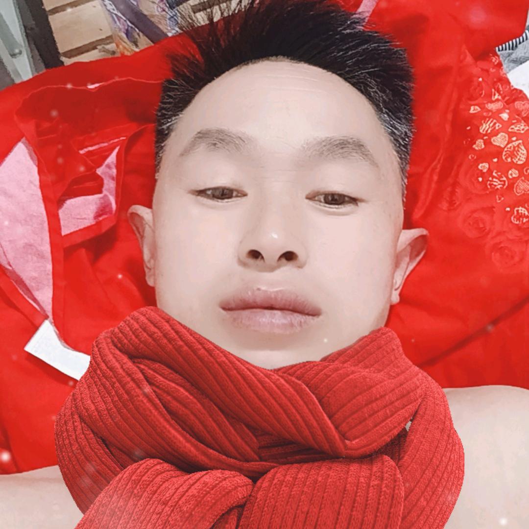 心醉雪松针