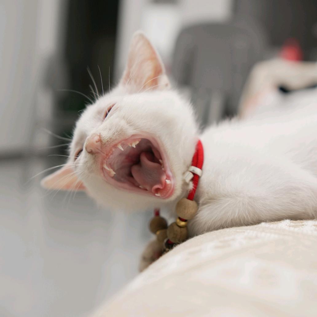 疯