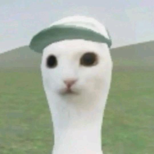 ovo