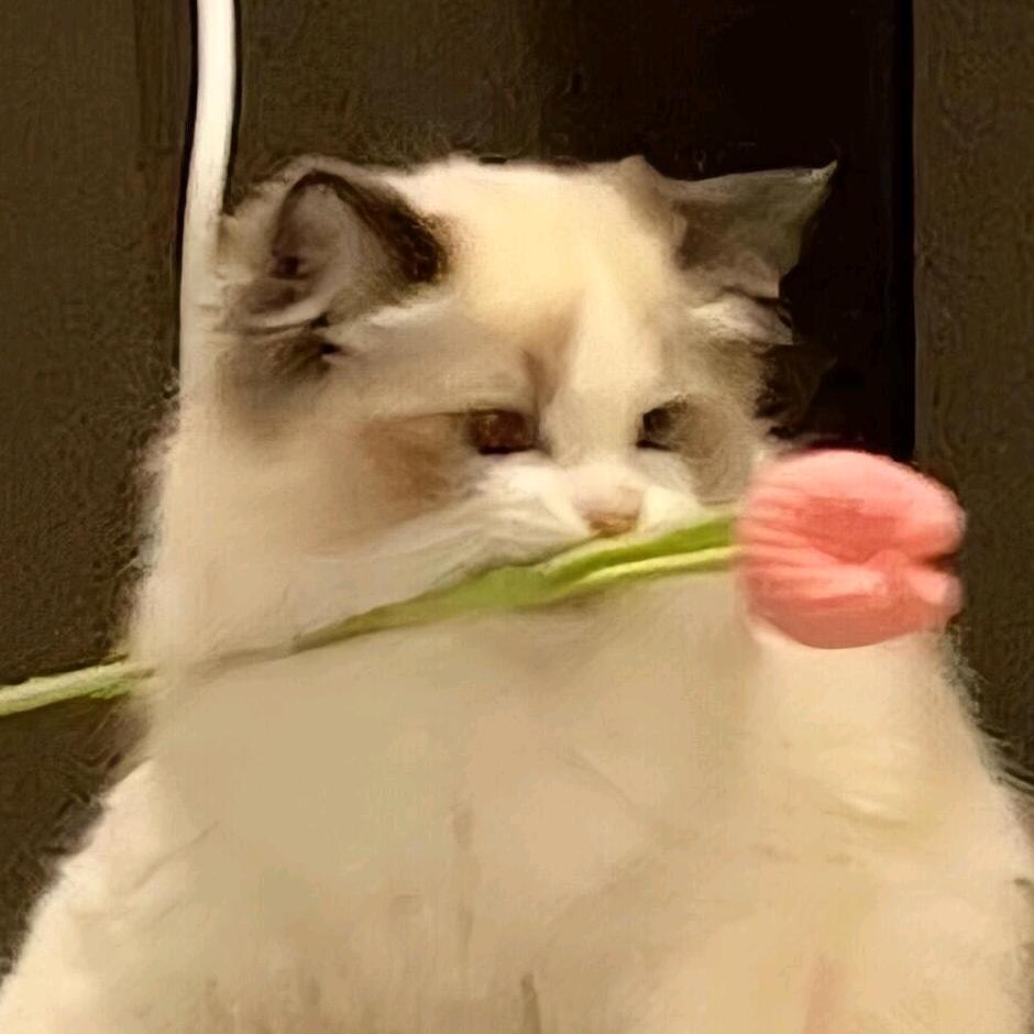 gdnt
