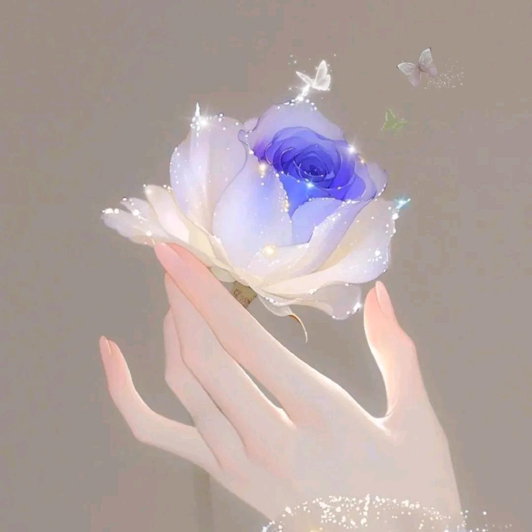 ༺❀ൢ聲聲❀ൢ༻