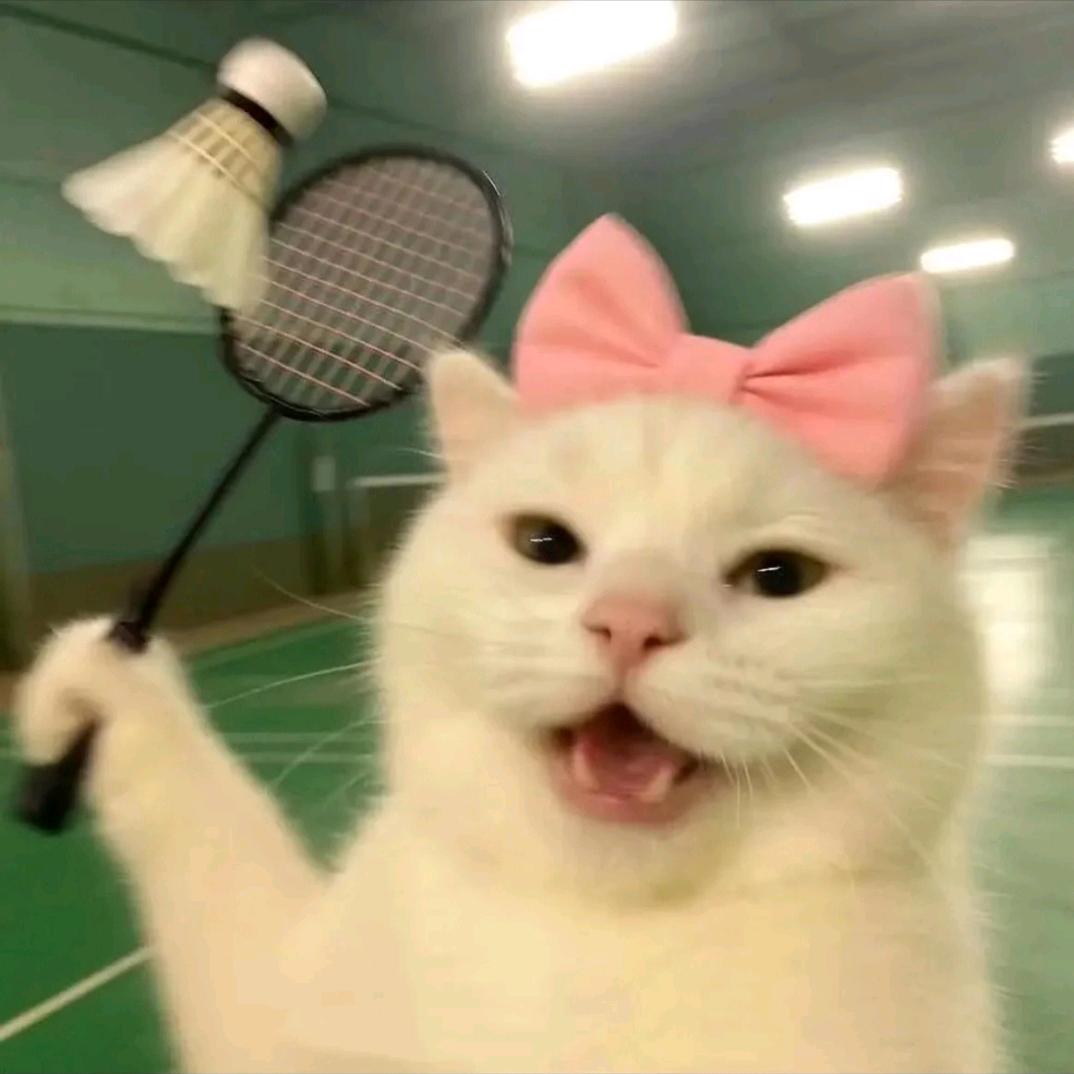 人枪合一百发百中的西部牛仔