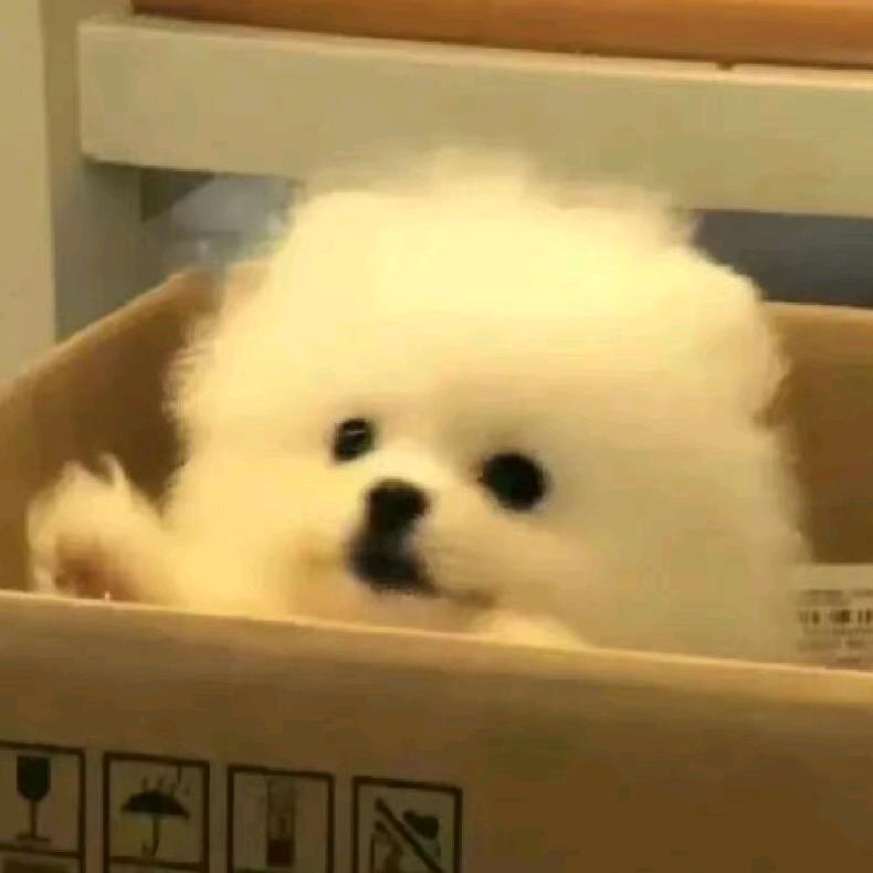 摆烂