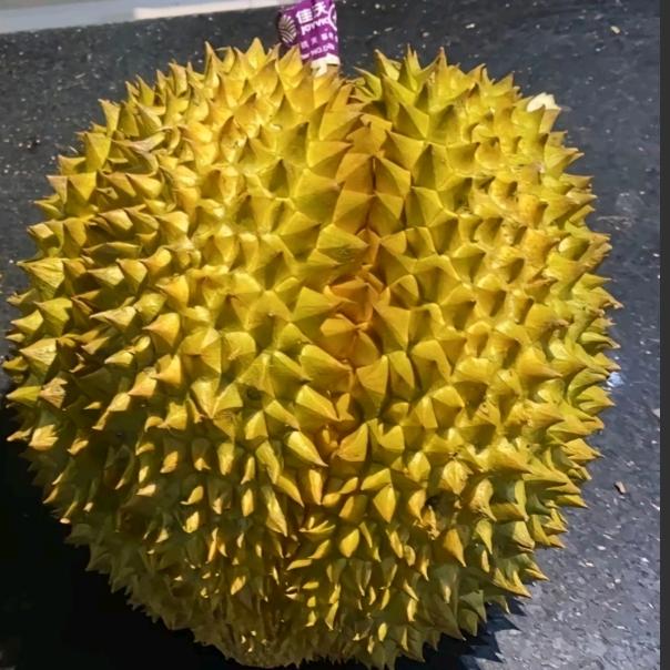 吃个榴莲补一补