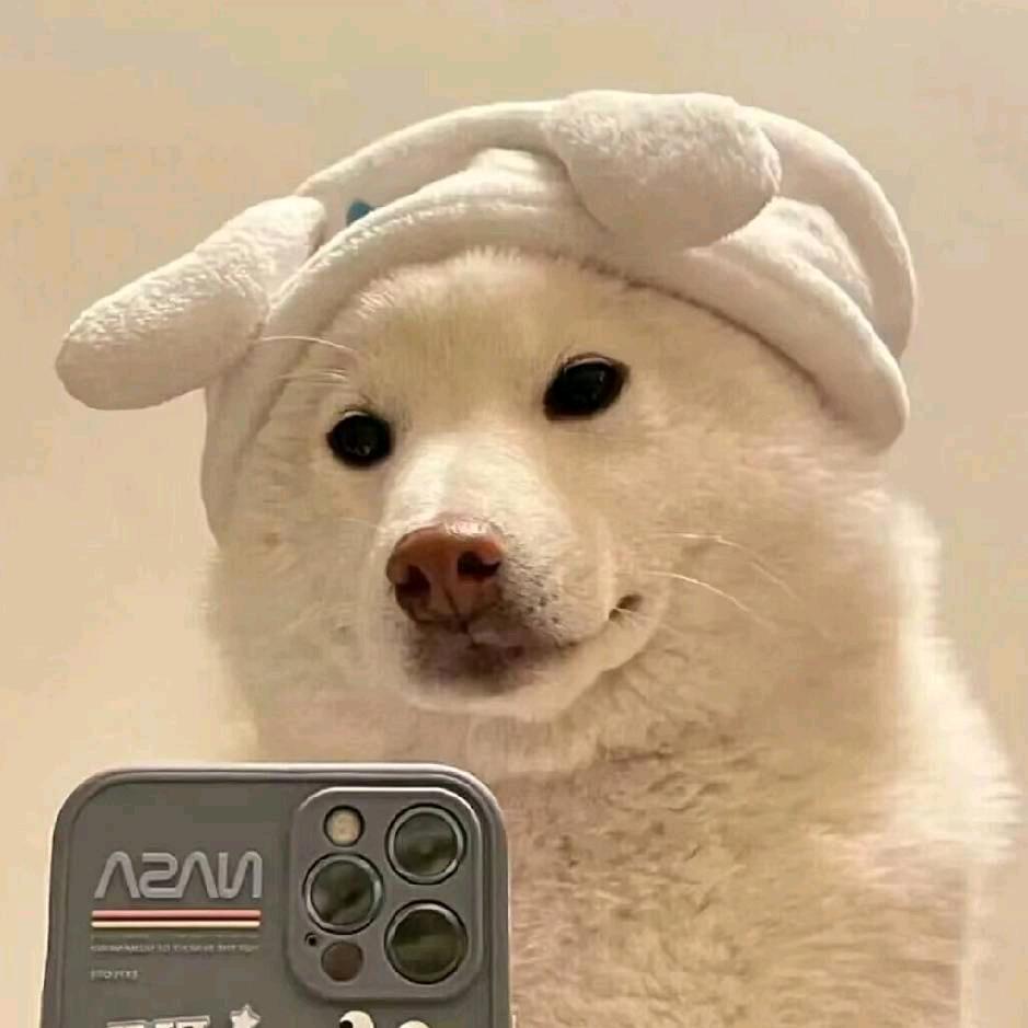 系蔡不系菜