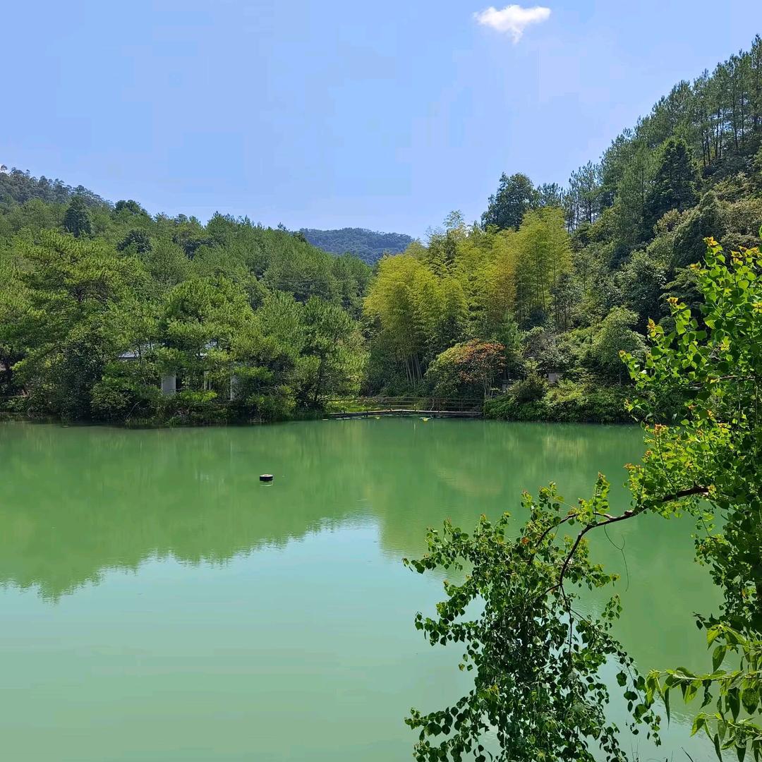 ₍˄·͈༝·͈˄*₎◞ ̑̑