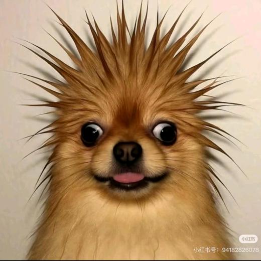 我还是