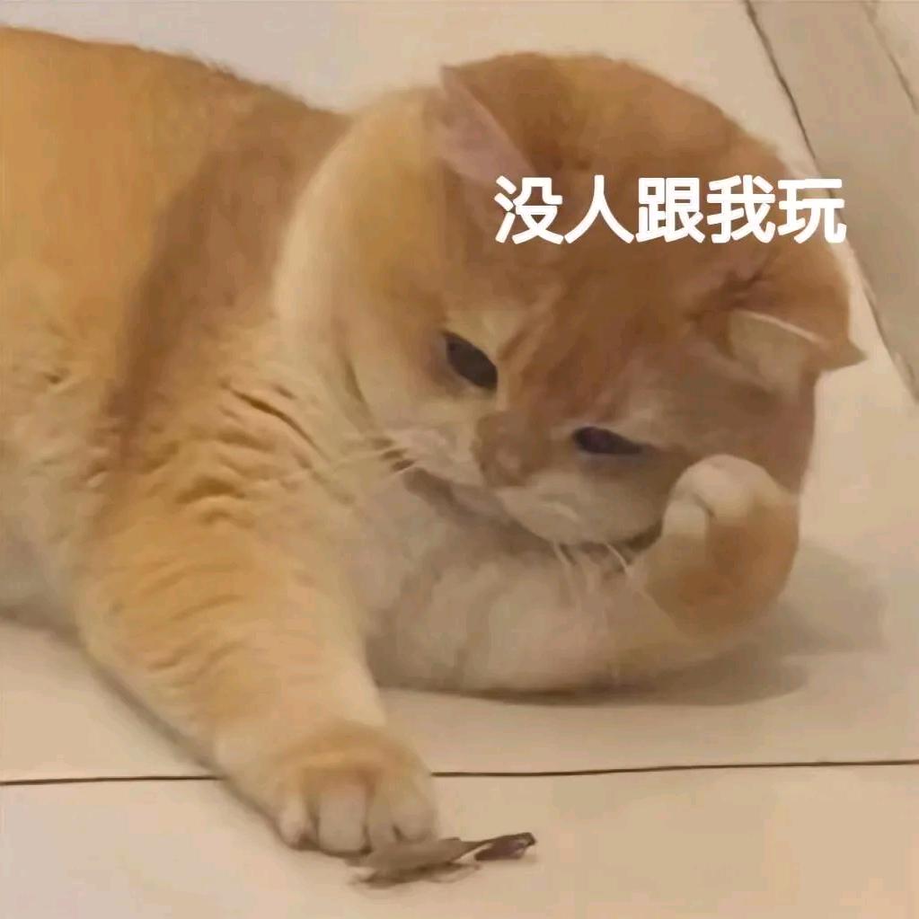 就吃1小口