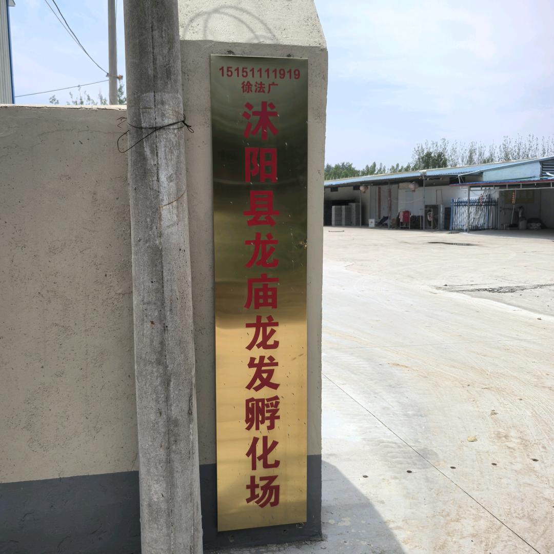 龙发孵化场