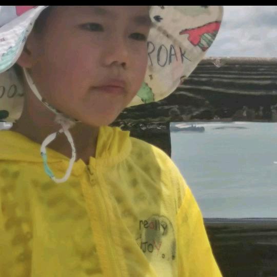 藍天白云，与凤凰同飞，便是俊鸟