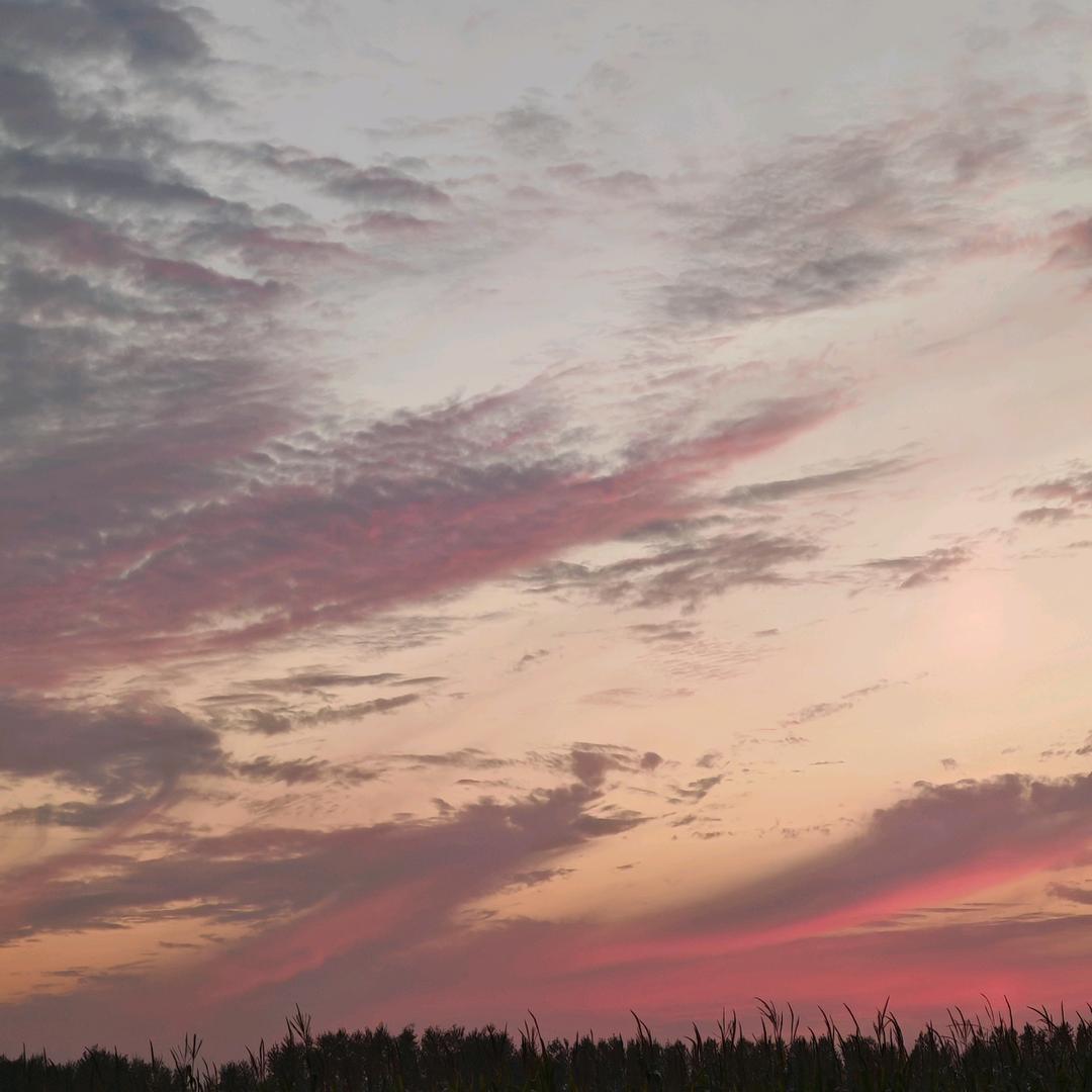 巴铁小飞与星光村