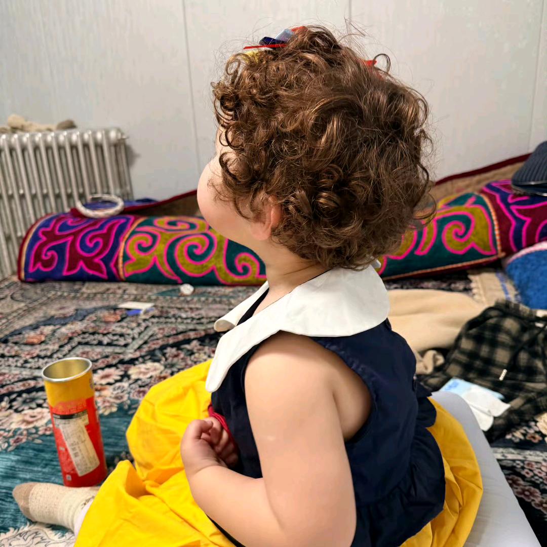 重生之我是懒羊羊