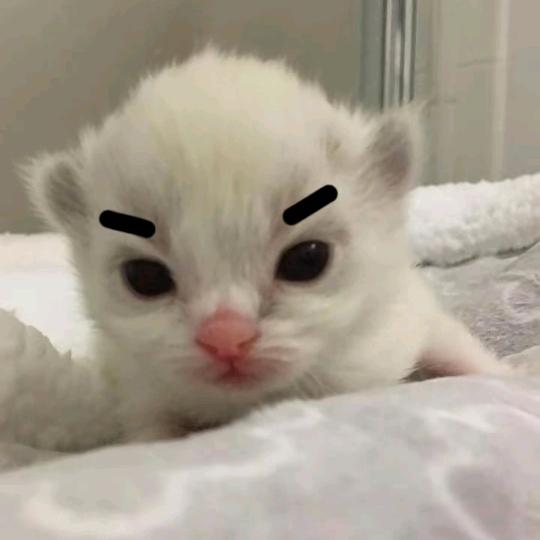 午夜忧郁纯情总裁