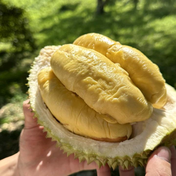 猫山王榴莲严选店