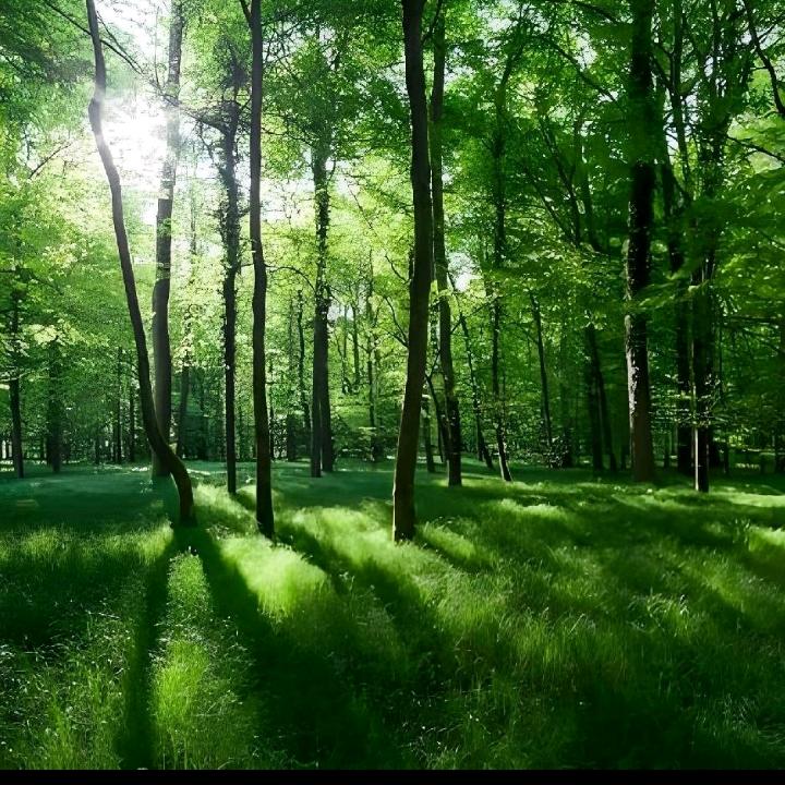 @ℳ雪ꦿ儿꧔ꦿ᭄