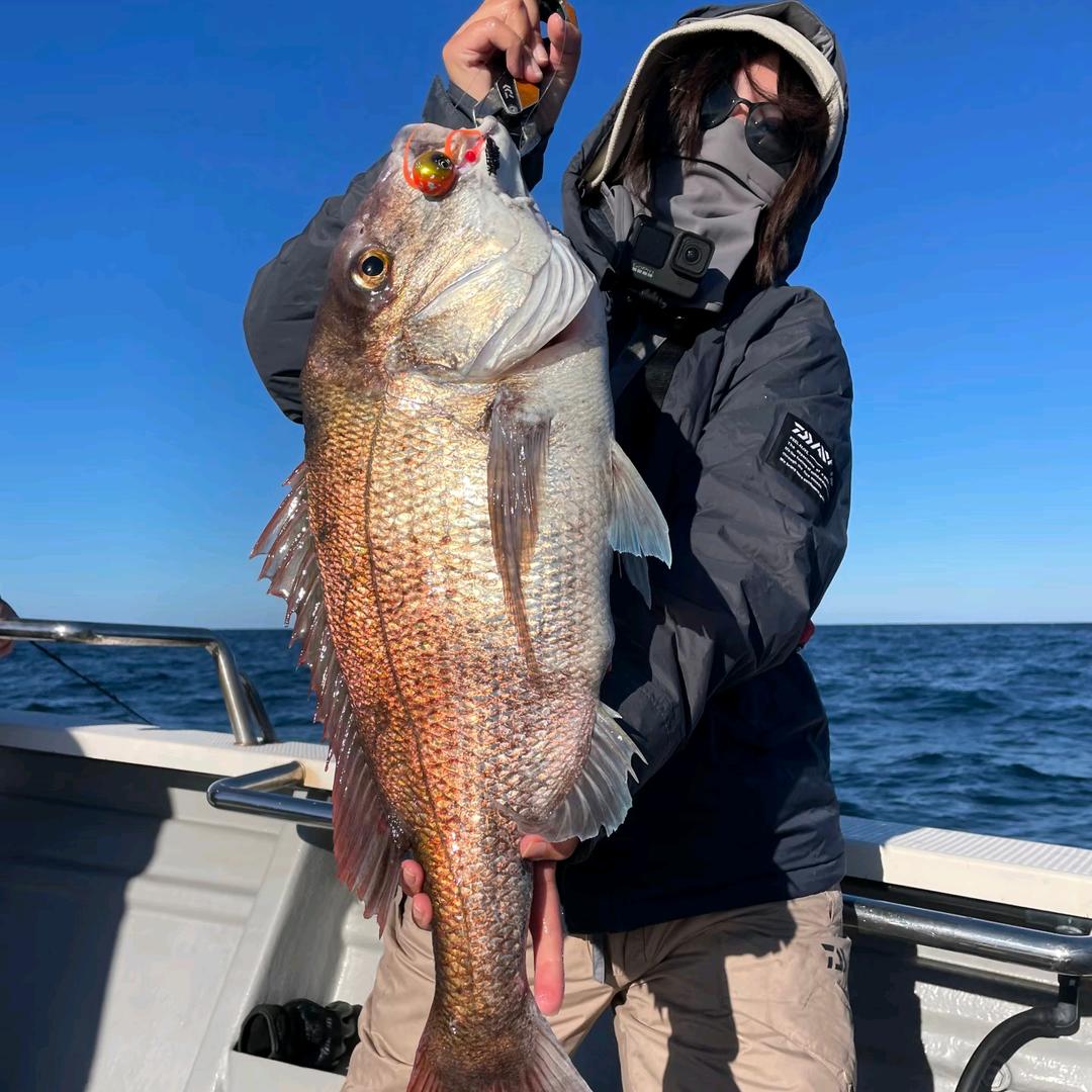 天元大师姐🐬4