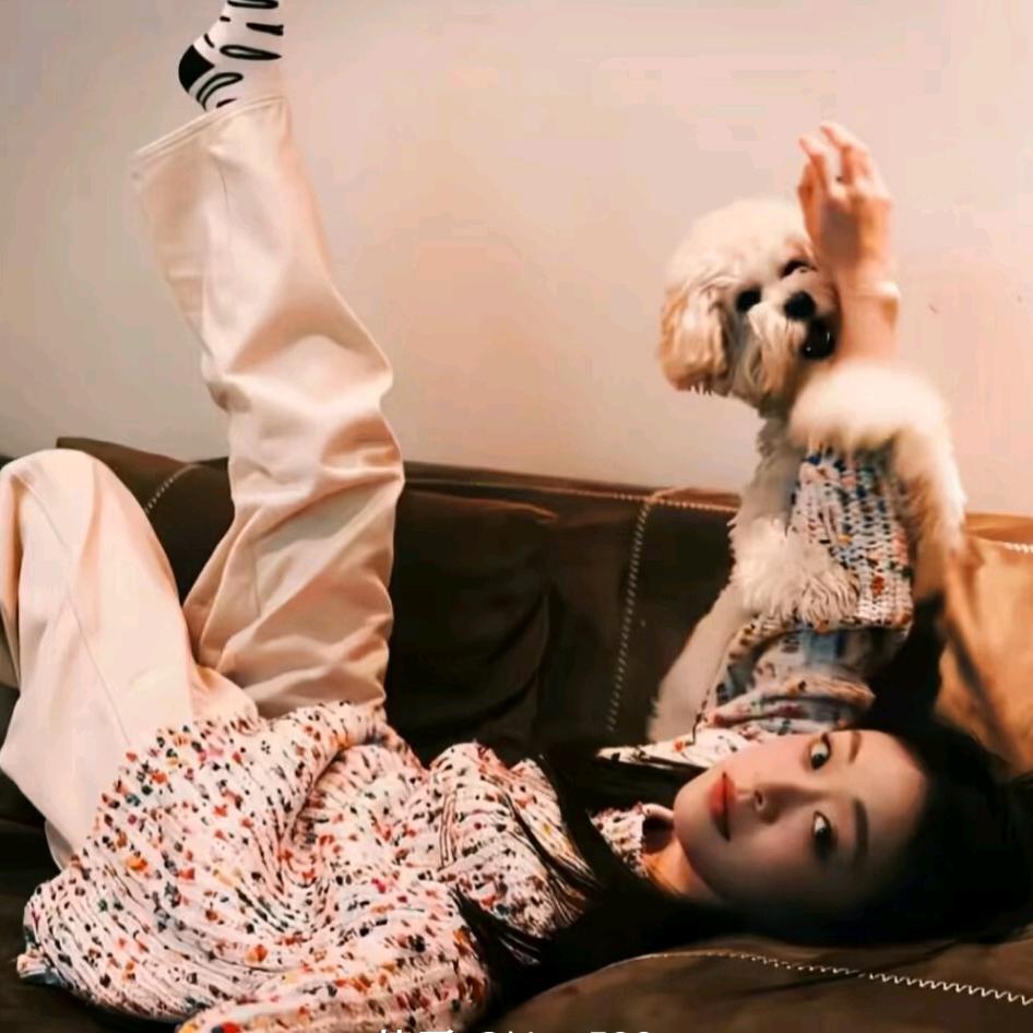 失眠数羊💤