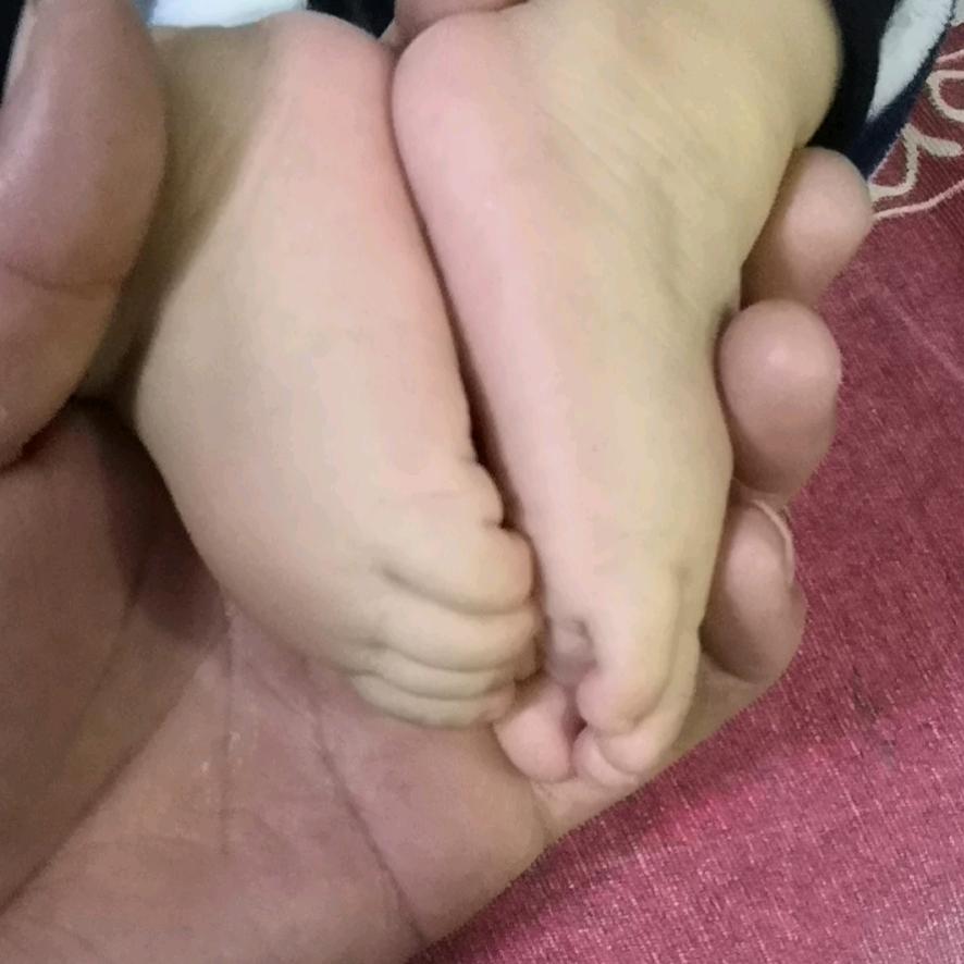 杨