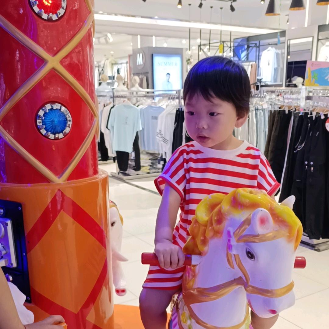 我会给你自由去飞