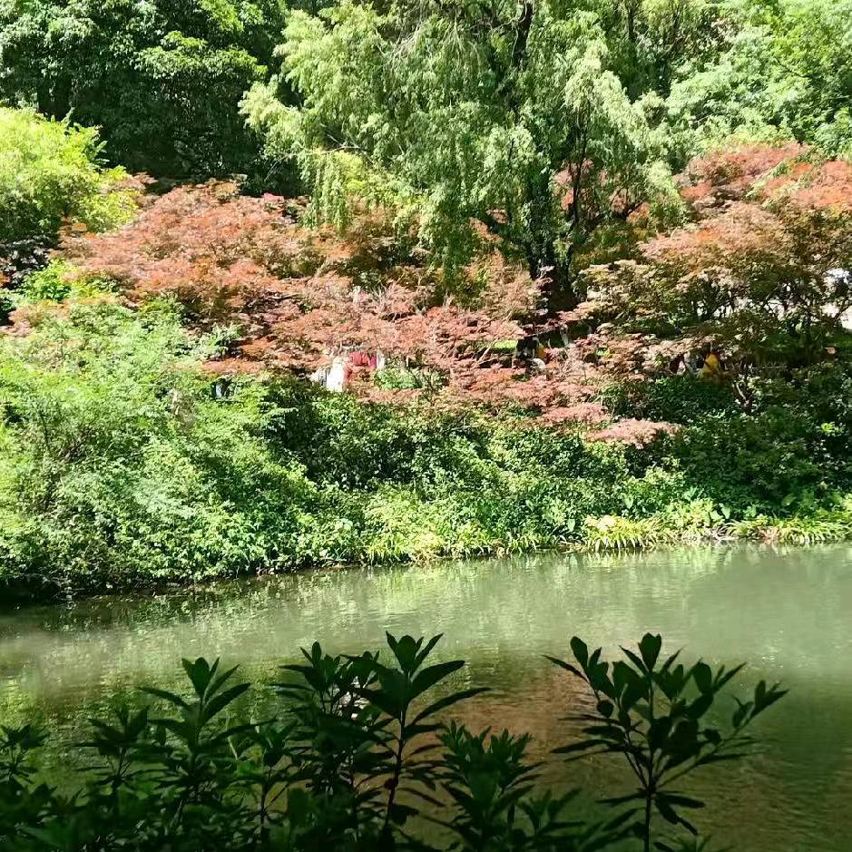 自强！自信！努力开心