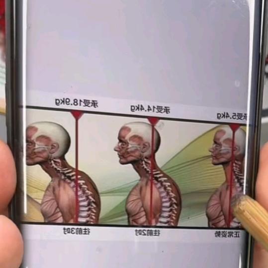 徐氏草本