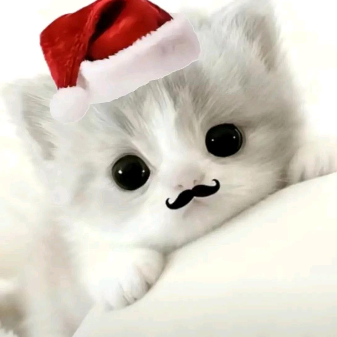 小六❄️
