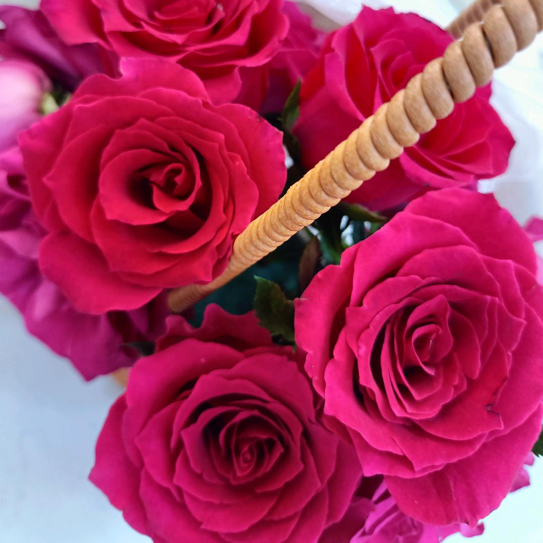 ℒᎭℯ⃟淡然💕⁵₁²҈₃º҈₁