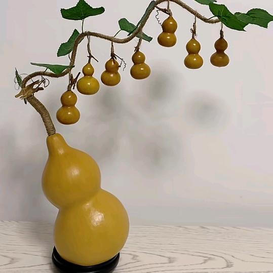 小刺猬