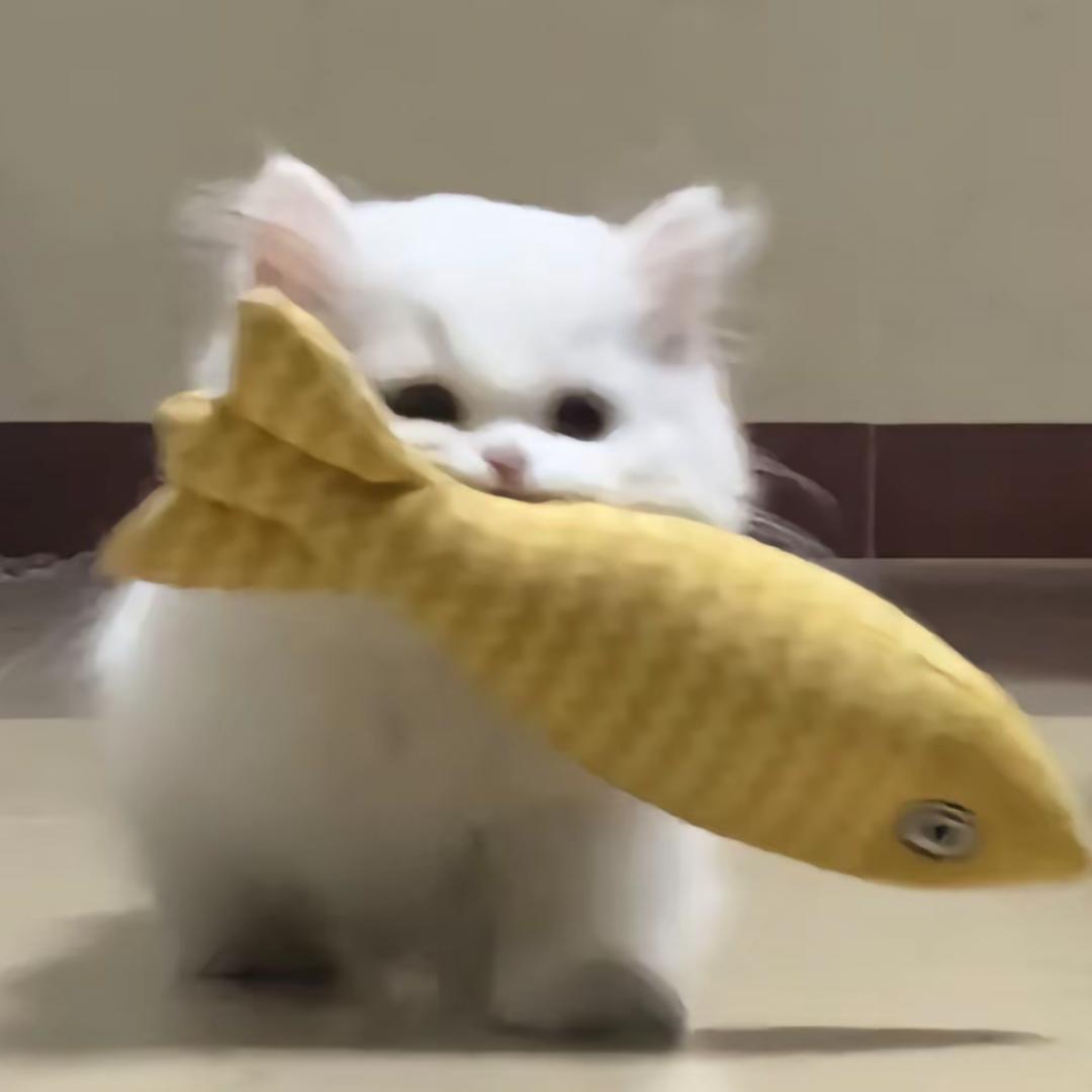 我爱吃北京涮锅（见过千玺版）