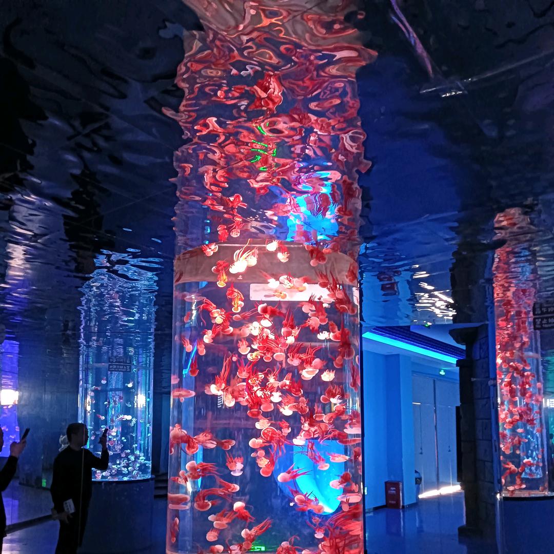@2025