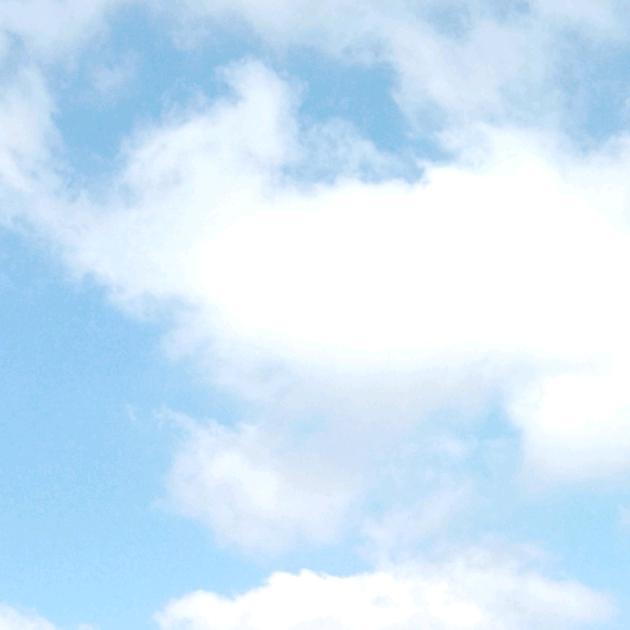 永远不清醒的自己🎃