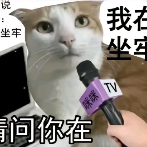 天麟mx